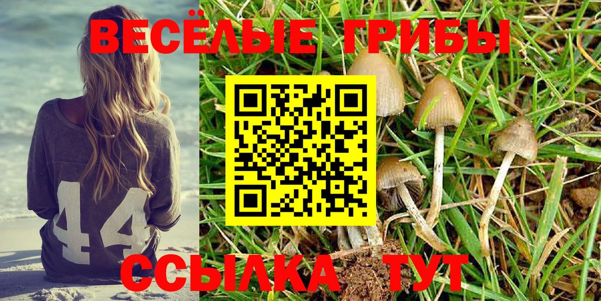 Знаменск  Псилоцибиновые грибы Cubensis  Галлюциногенные грибы мухоморы  Вход с VPN 
