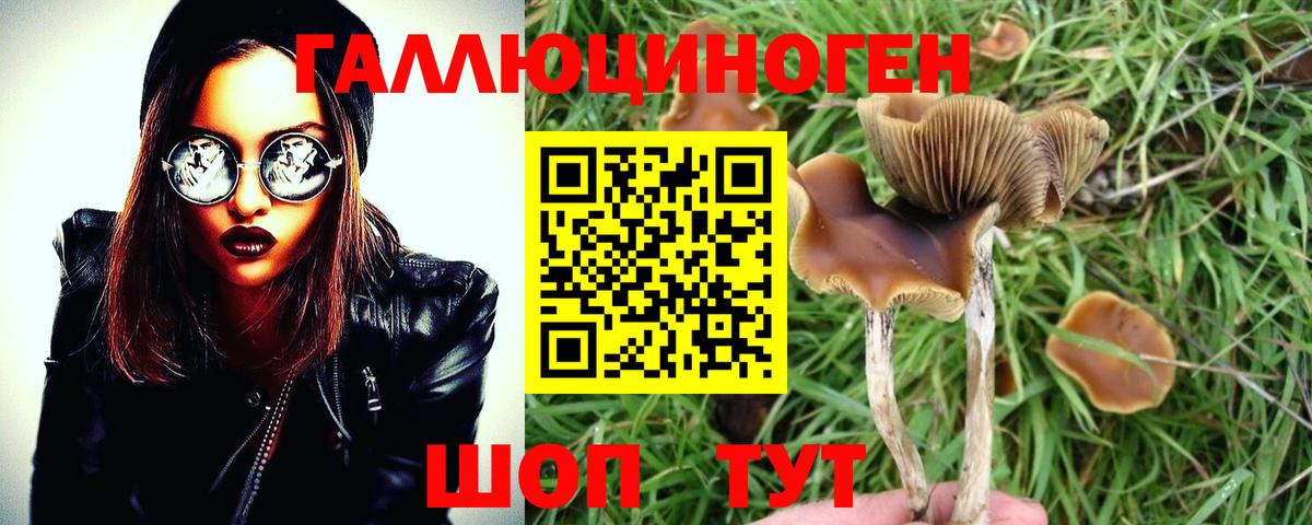 Галлюциногенные грибы MAGIC MUSHROOMS Знаменск